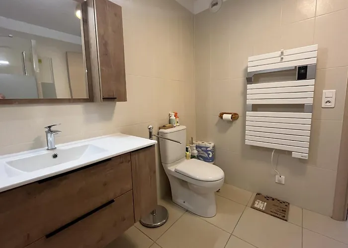 T2 Terrasse Proche Et Commerces